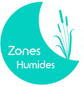 Bouton site web